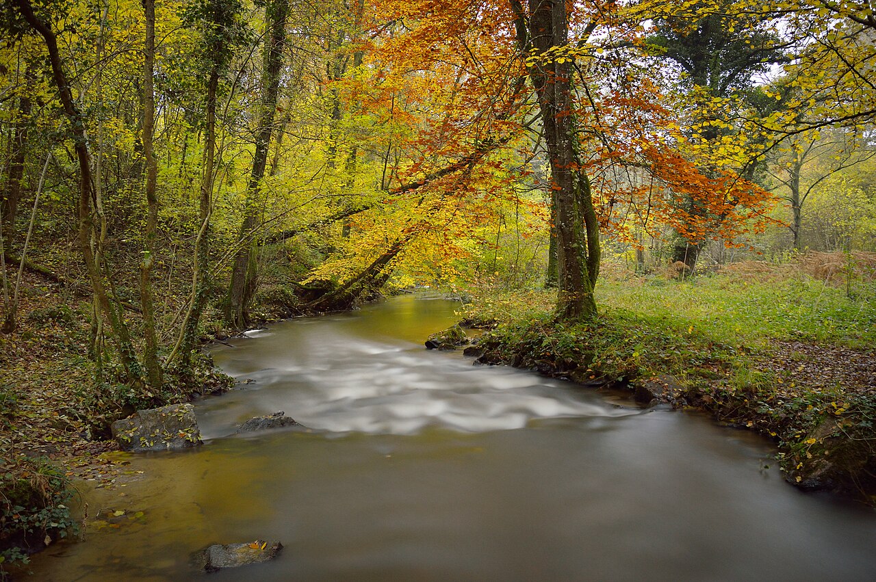 La Gourbe aux Gorges de Villiers